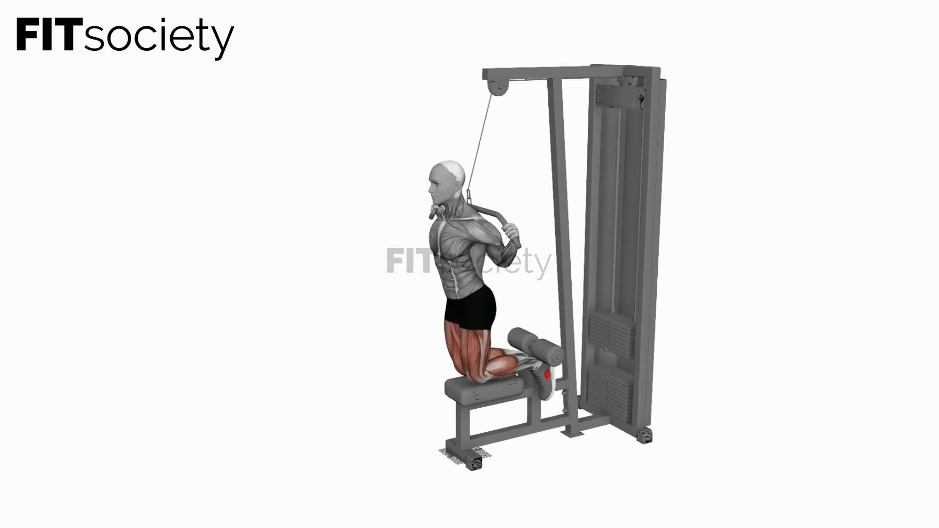Cable-Assisted Inverse Leg Curl