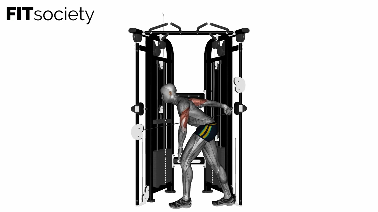 Tricep Cable Kickback On Crossover Machine