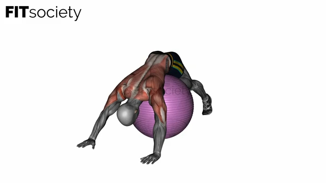 Exercise Ball Lower Back Prone Stretch