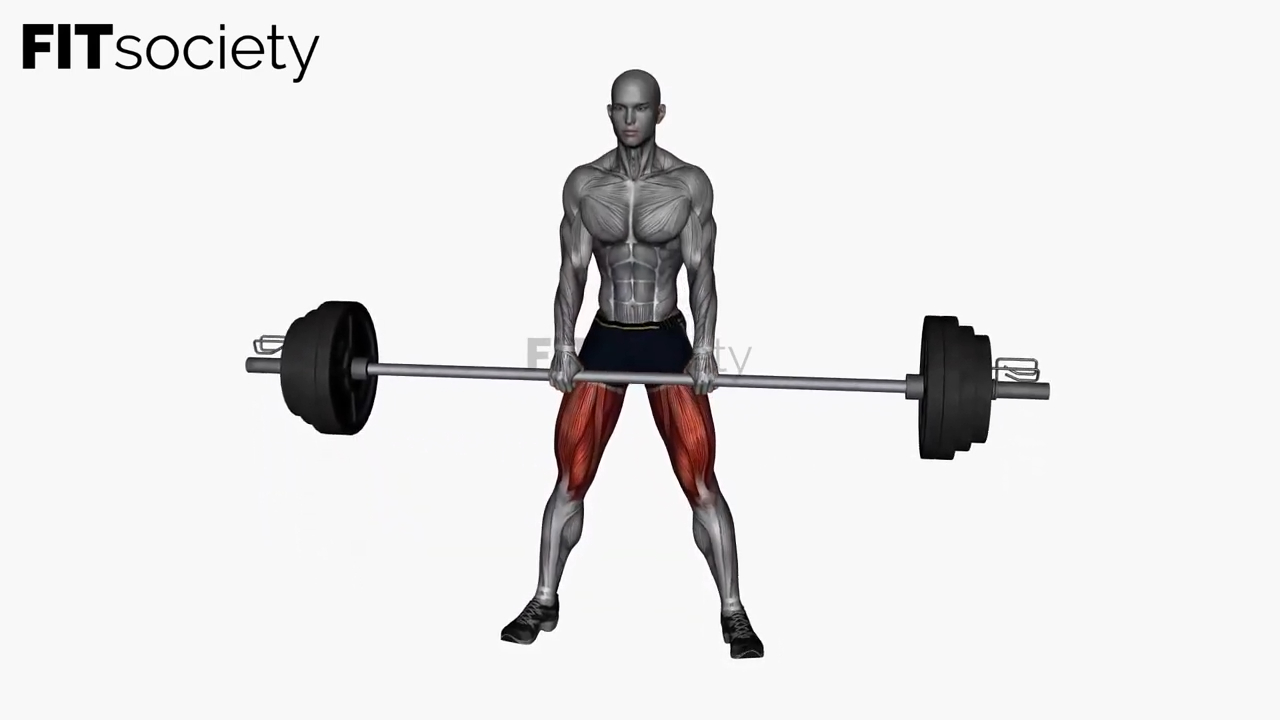 Barbell Sumo Deadlift