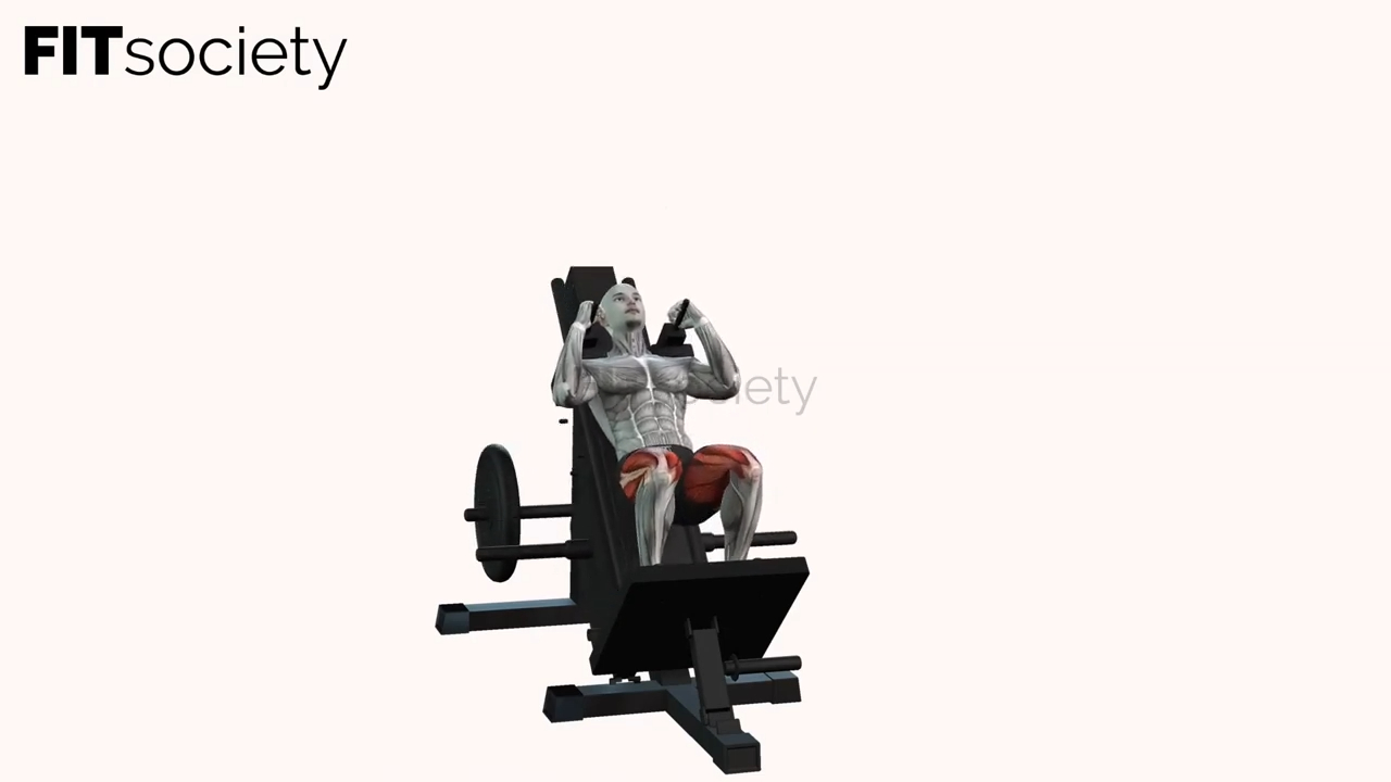 Hack Squat Machine