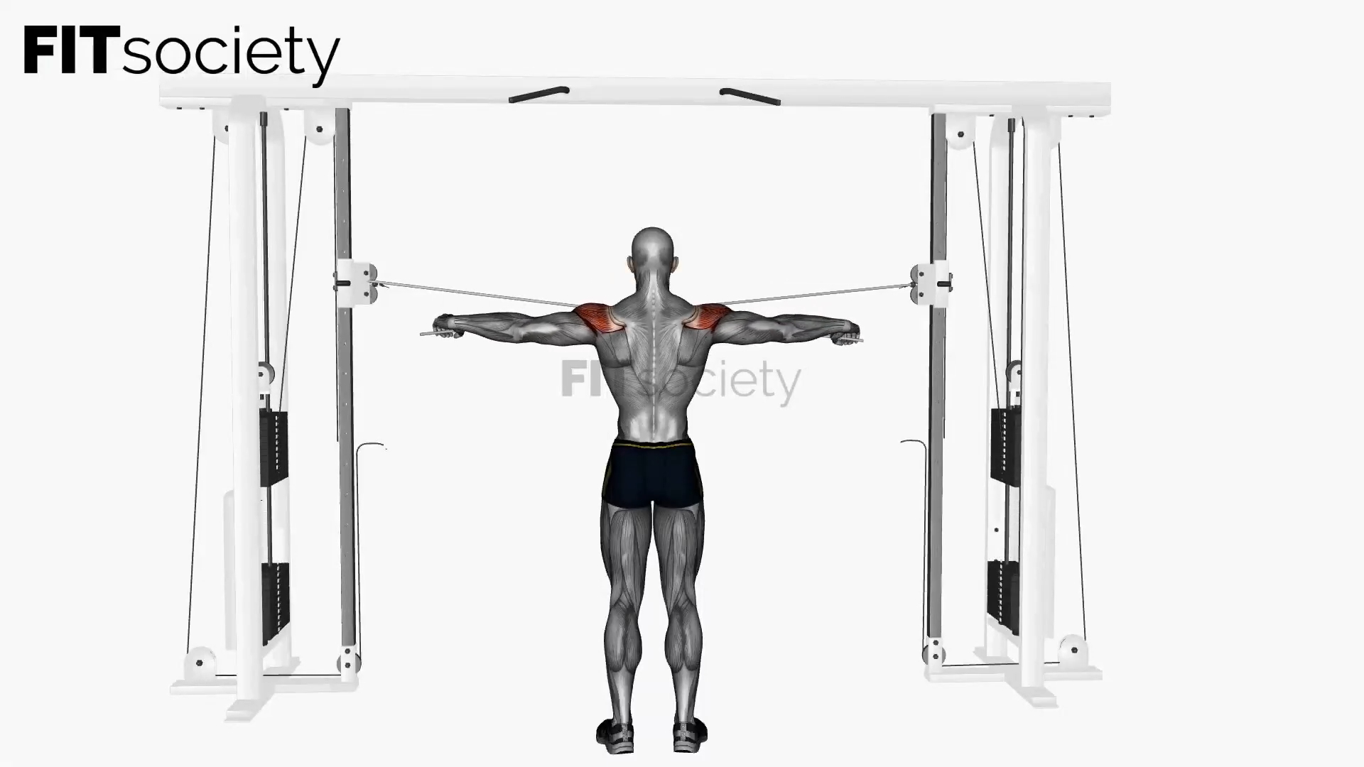Cable Rear Delt Fly