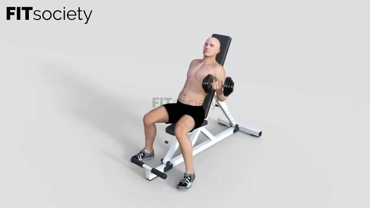 Alternating Incline Dumbbell Curls