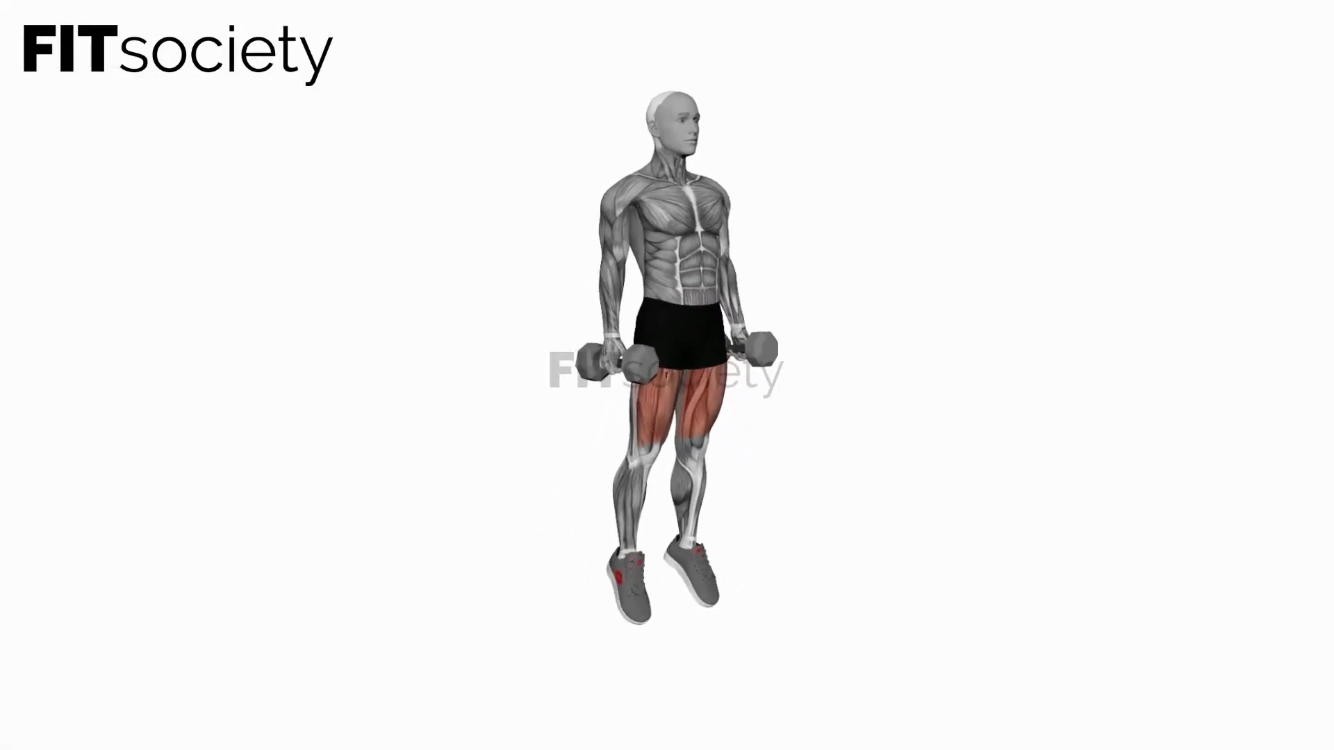 Dumbbell Jumping Squat