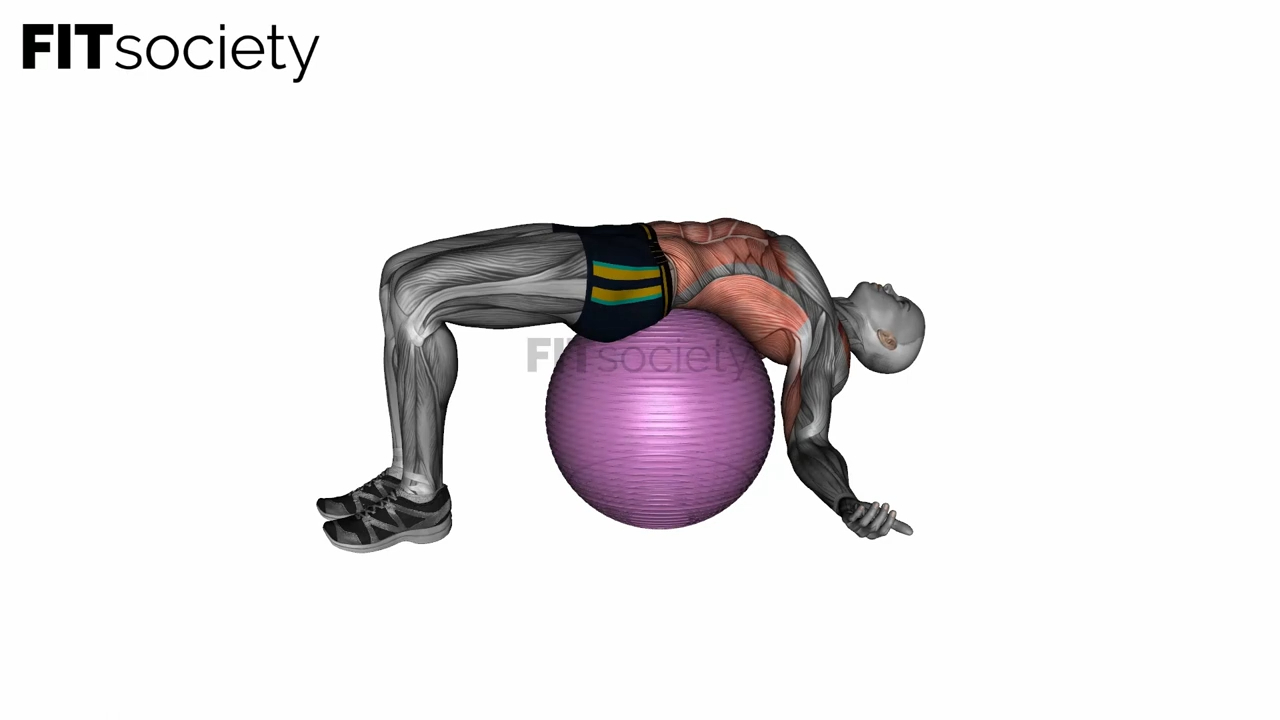 Exercise Ball Back Stretch