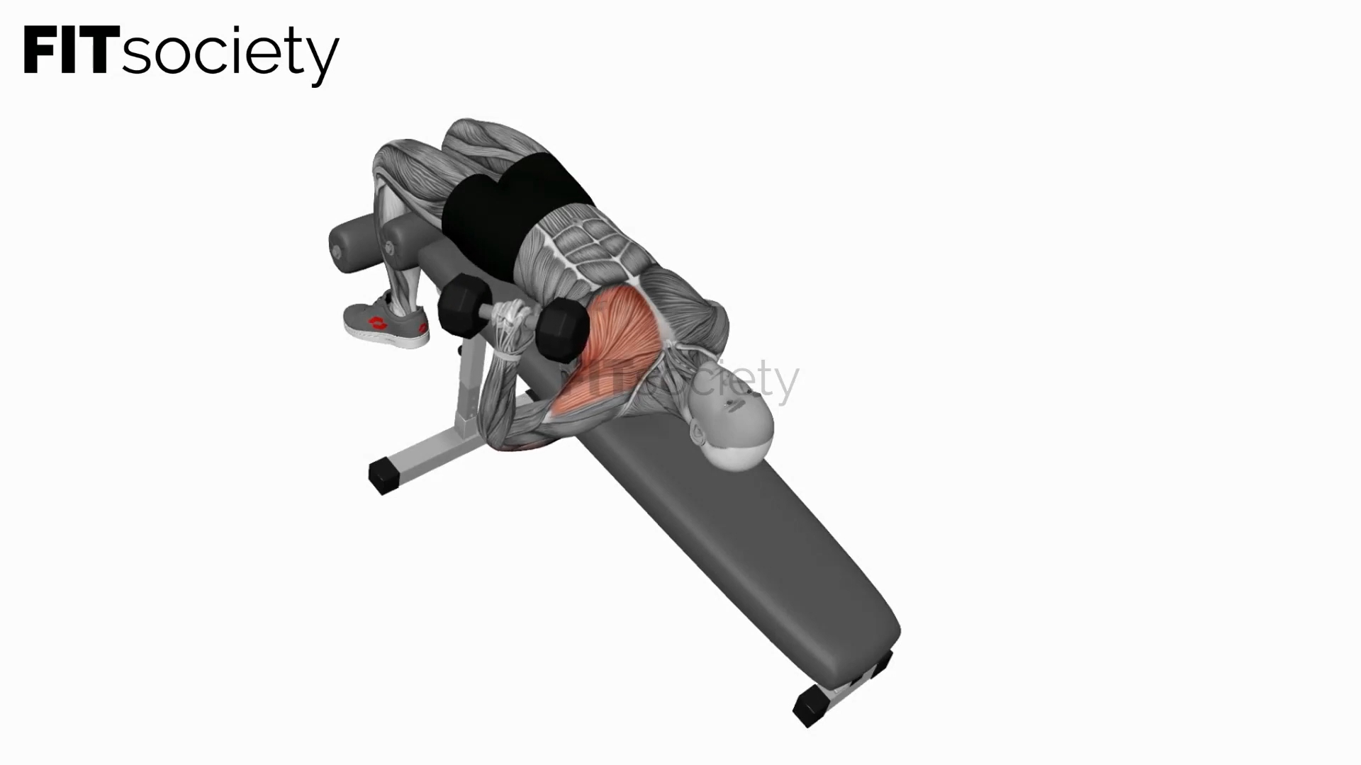 Dumbbell Decline One-Arm Hammer Press