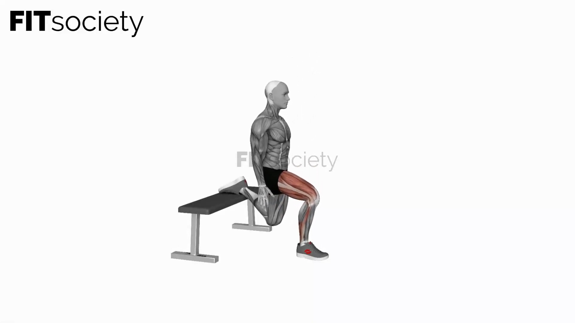 Bulgarischer Split Squat