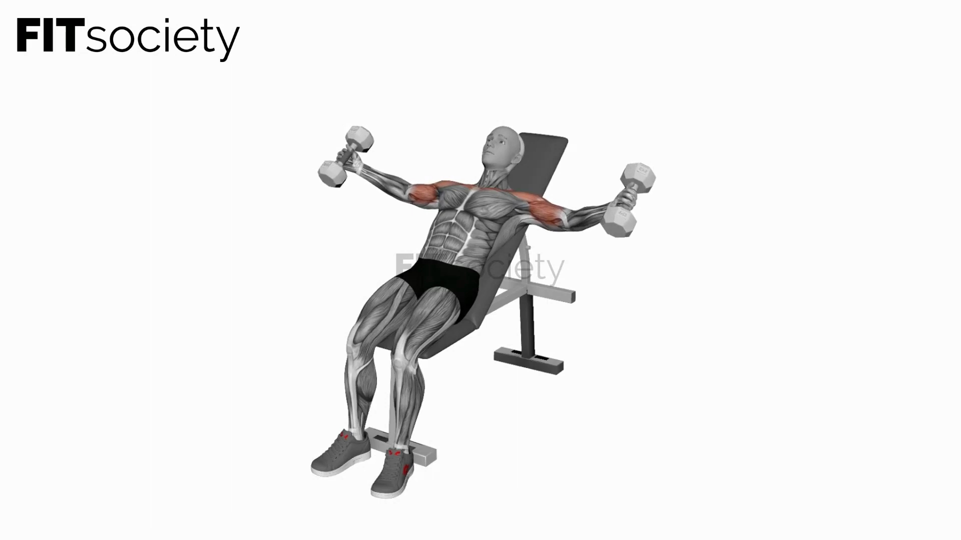 Dumbbell Incline Twisted Fly