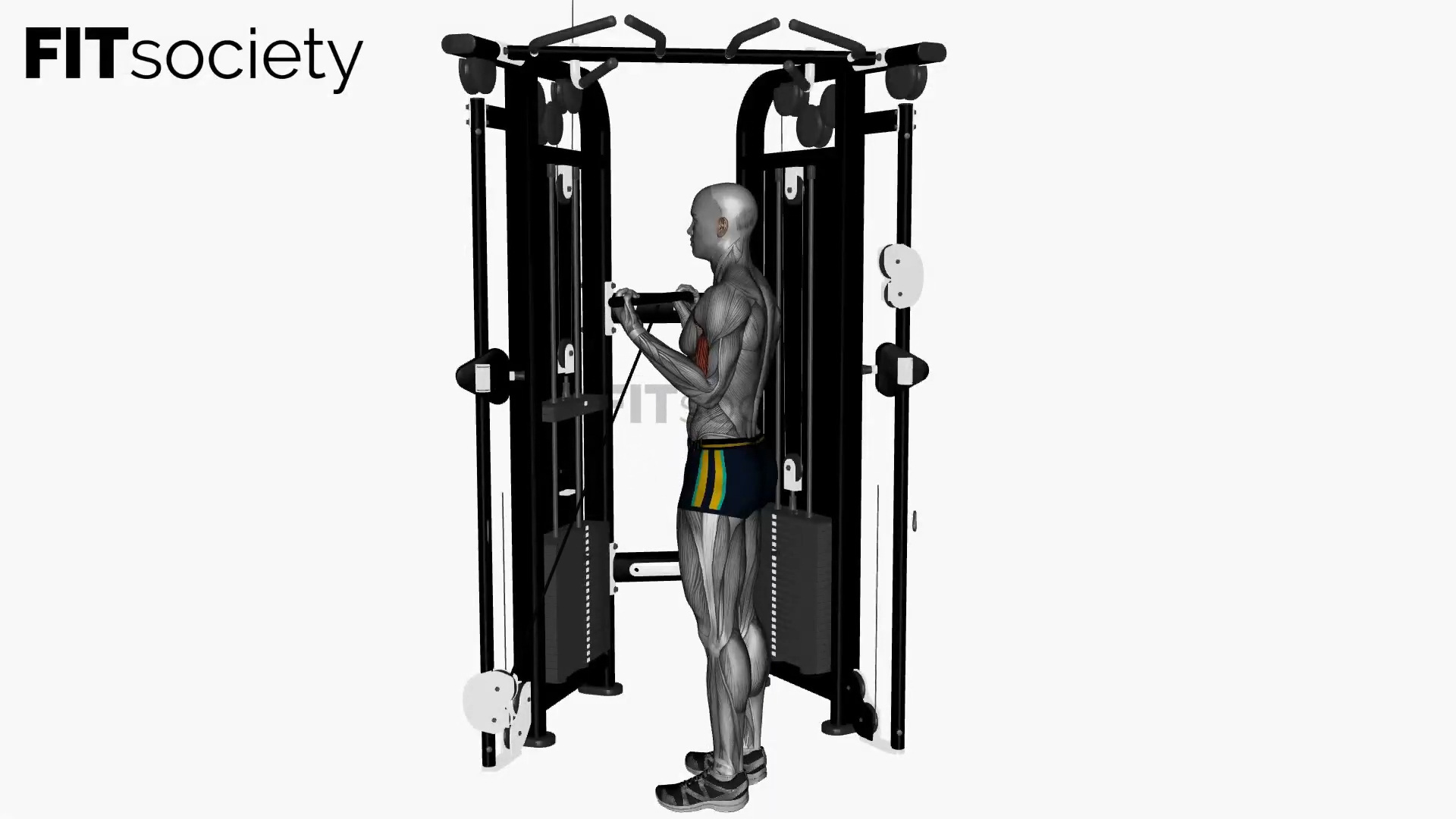 Biceps Curl Cable Wide Grip Crossover Machine