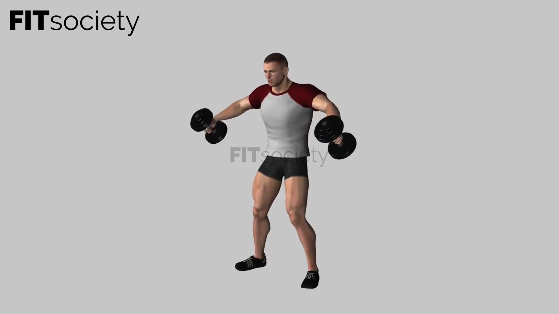 Standing Dumbbell Lateral Raise