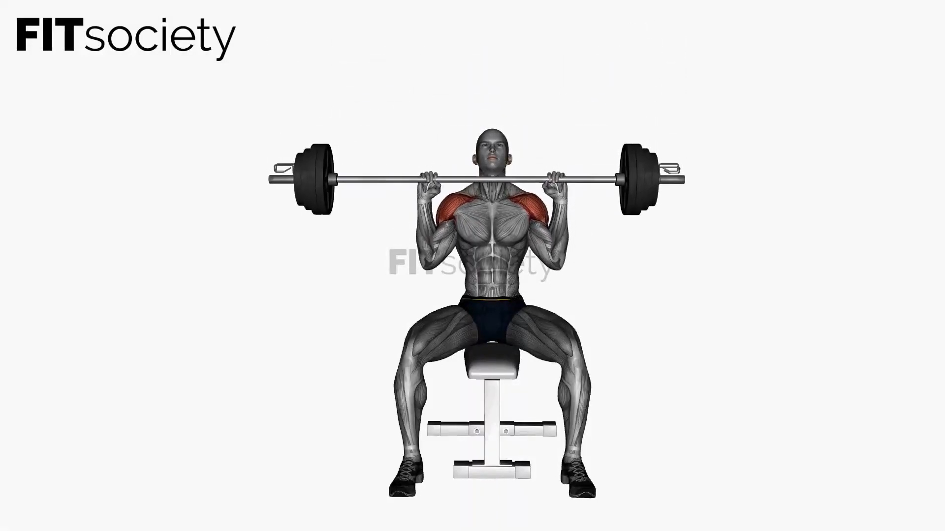 Seated Shoulder Press Barbell