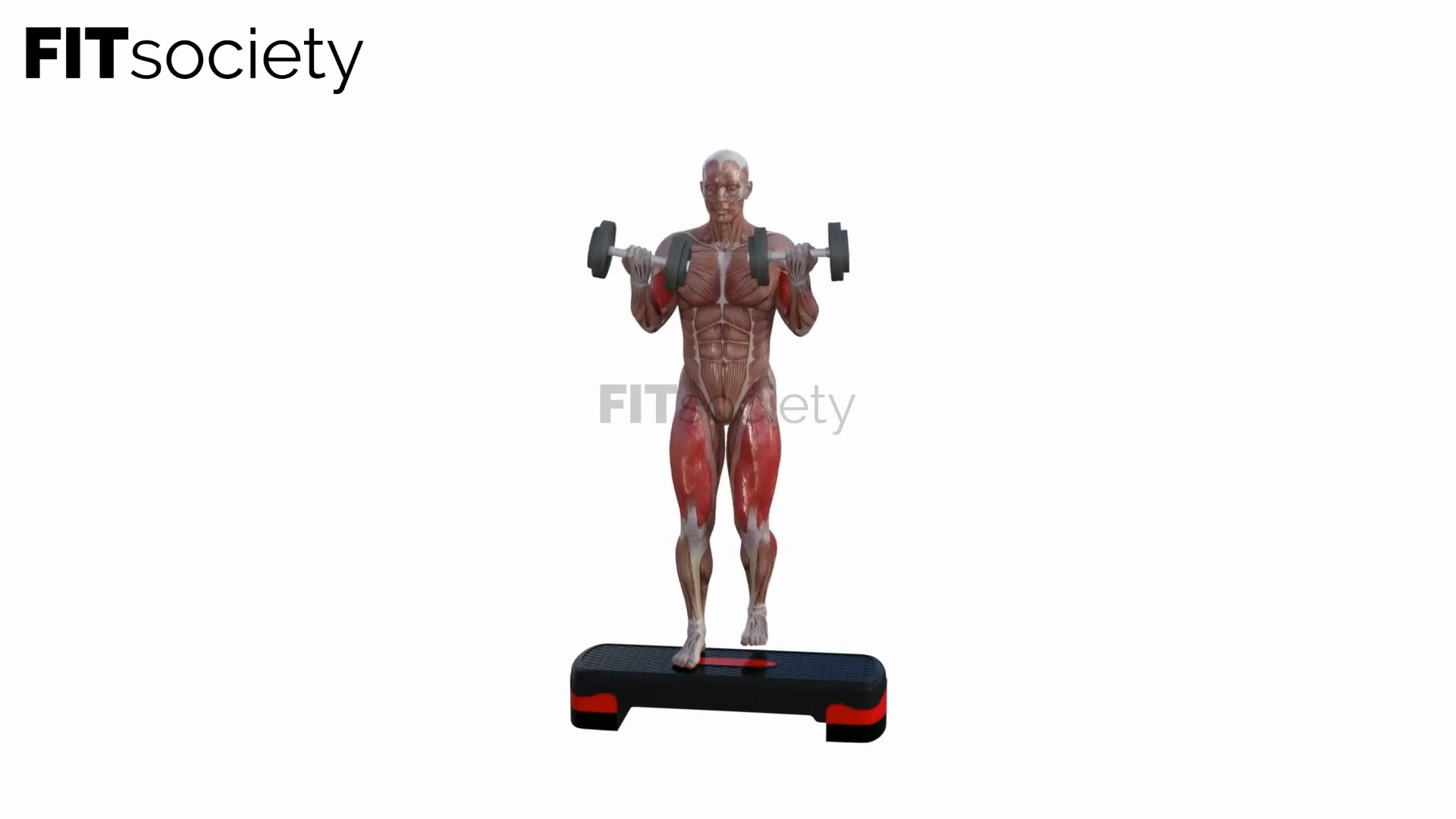 Step Up to Bicep Curl