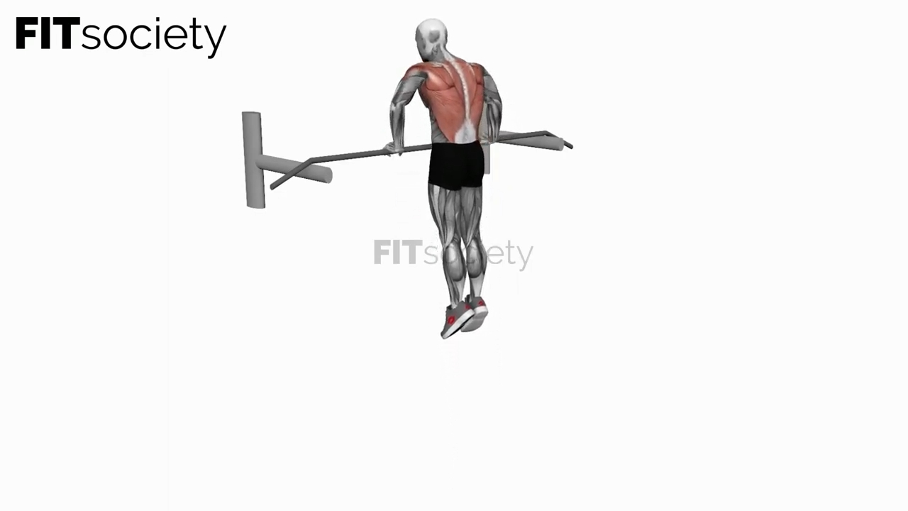 Muscle-up au poids du corps