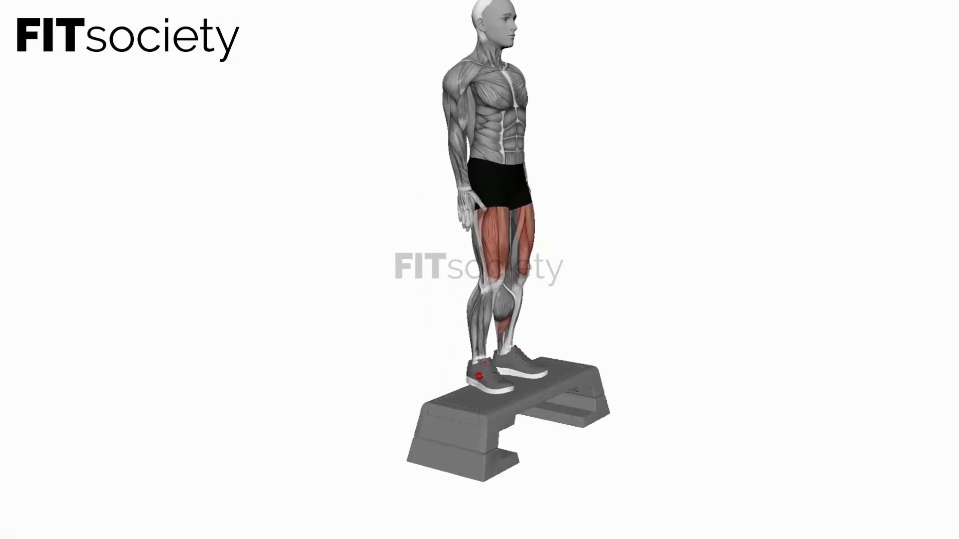 Bodyweight Step-Up on Step Box