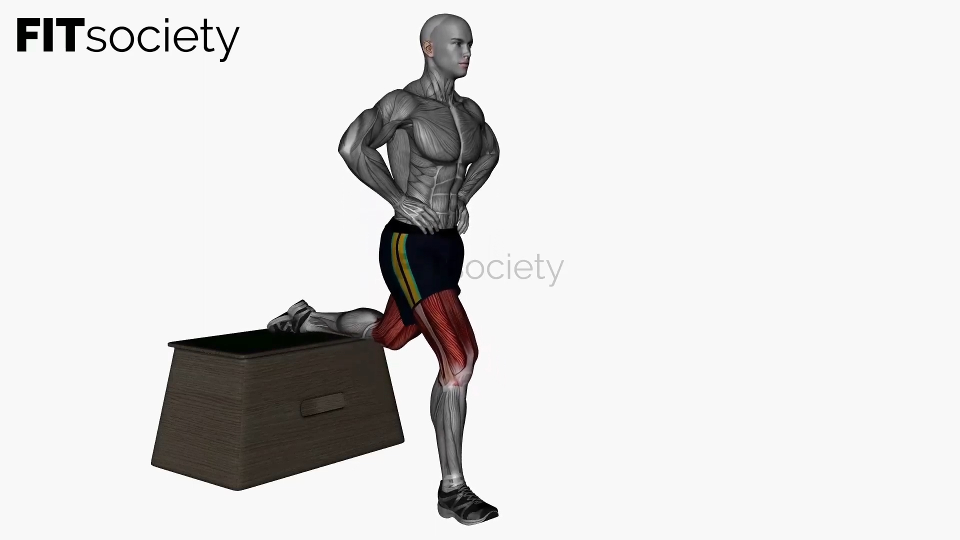 Bulgarian Split Squat Bodyweight Right
