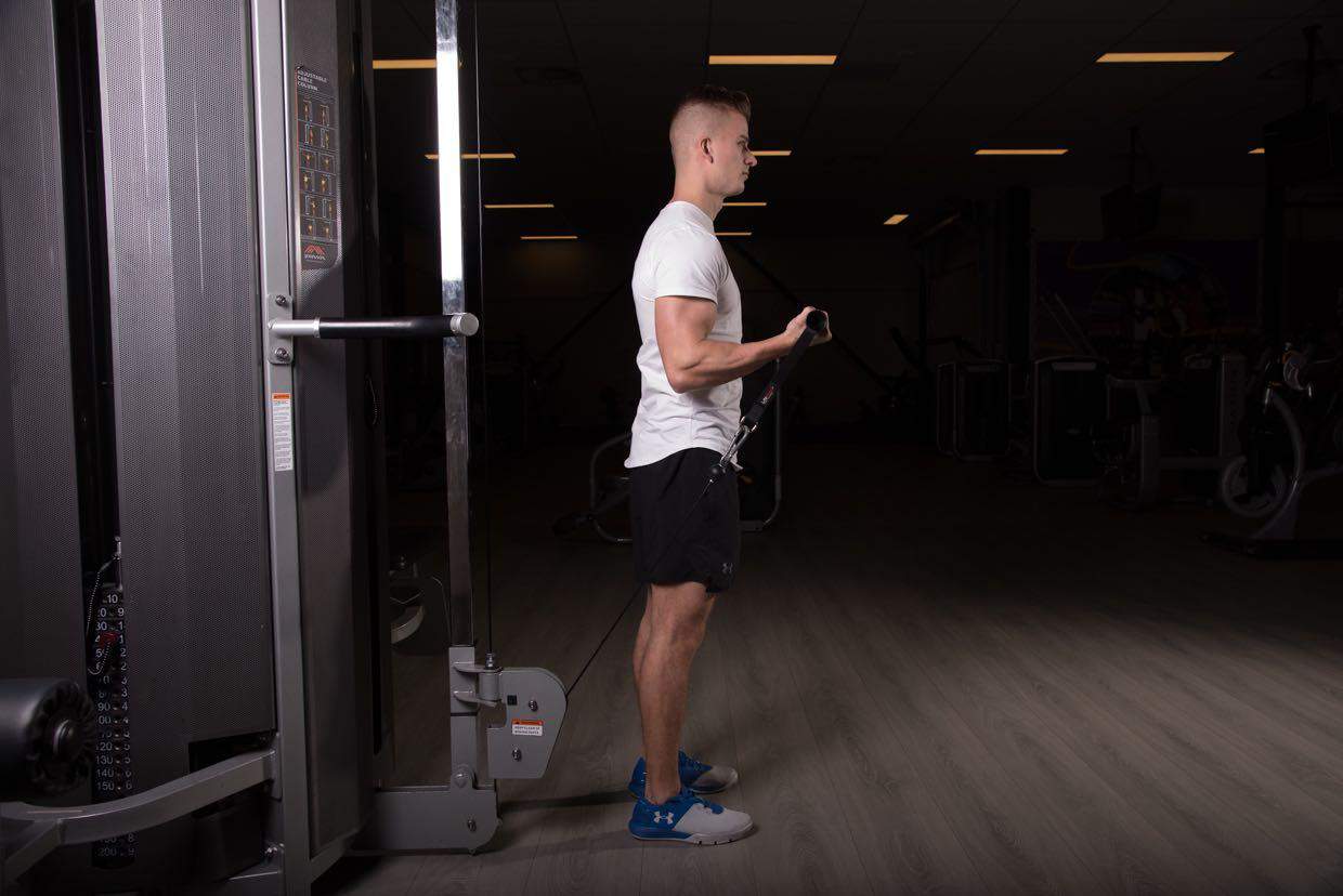Bayesian Biceps Curl