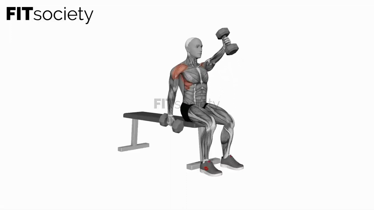 Dumbbell Seated Alternate Front Raise