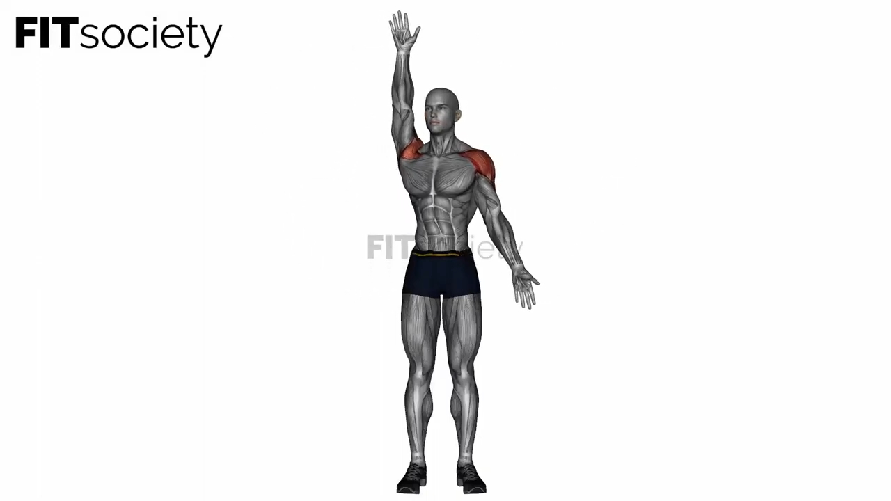 Standing Swimmer