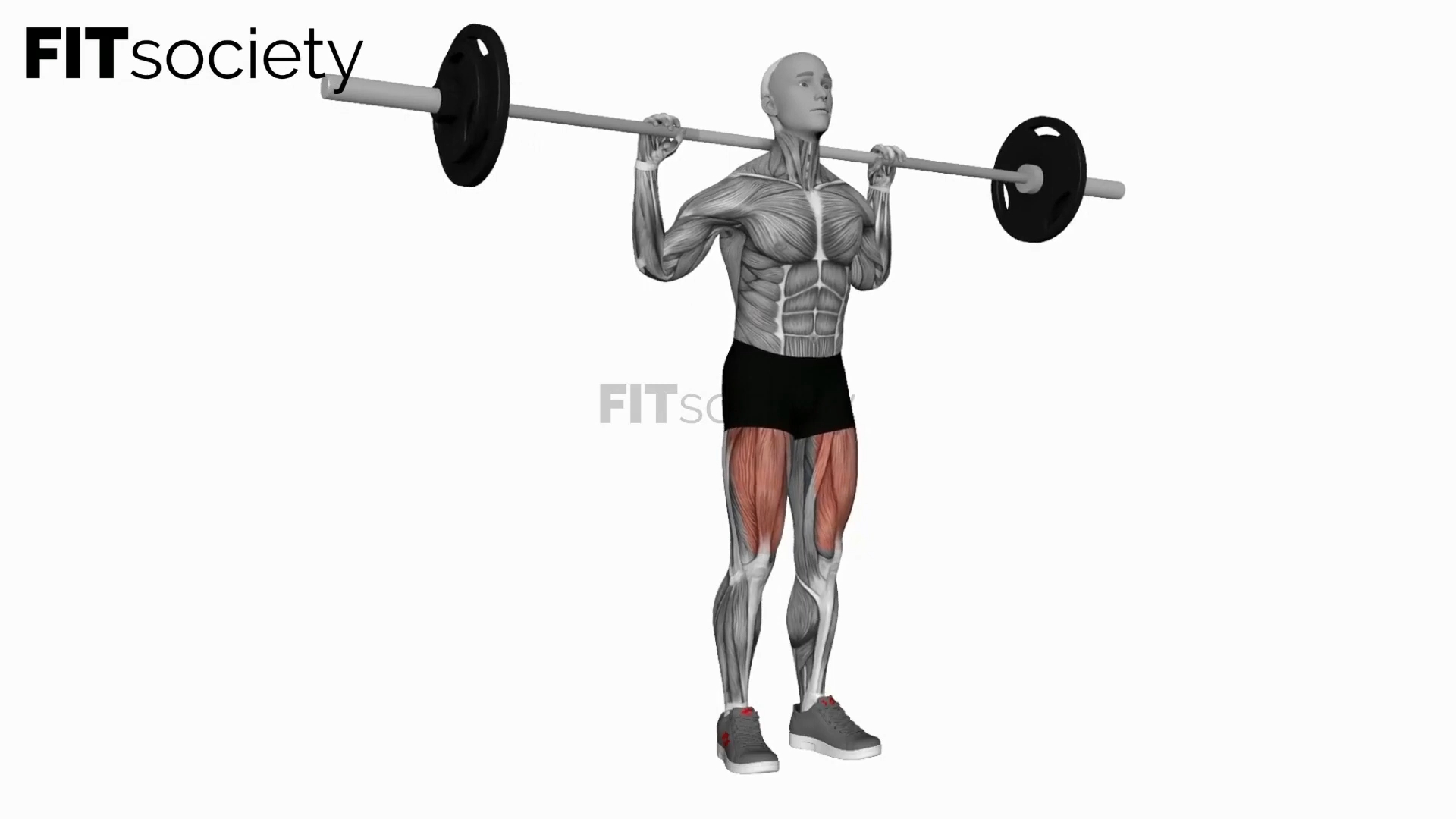 Barbell Squat To Grass