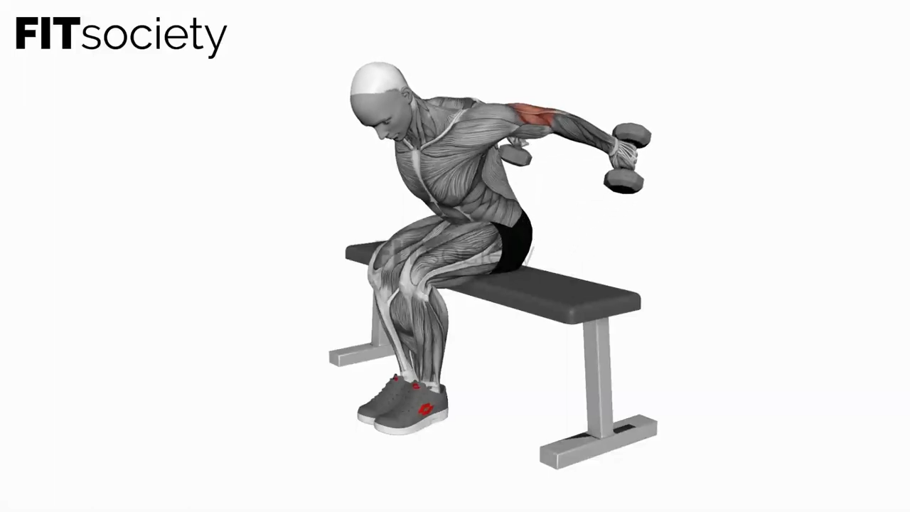 Dumbbell Seated Kickback