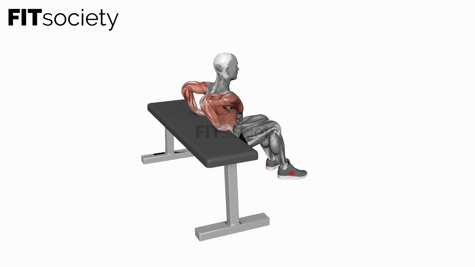 Bench Dip (Knees Bent)