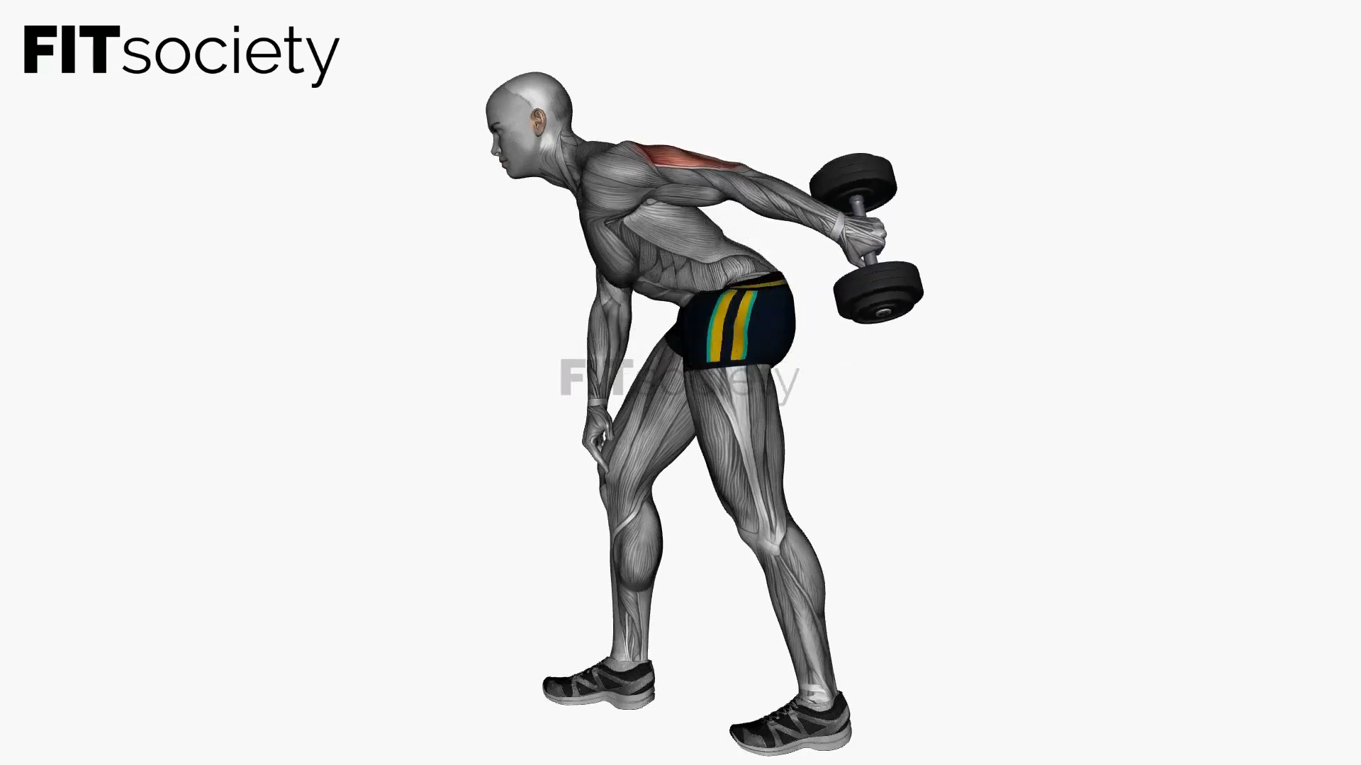 Single-Arm Dumbbell Triceps Kickback