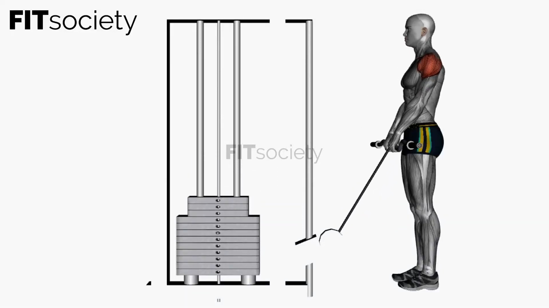Cable Upright Row With Ez Bar