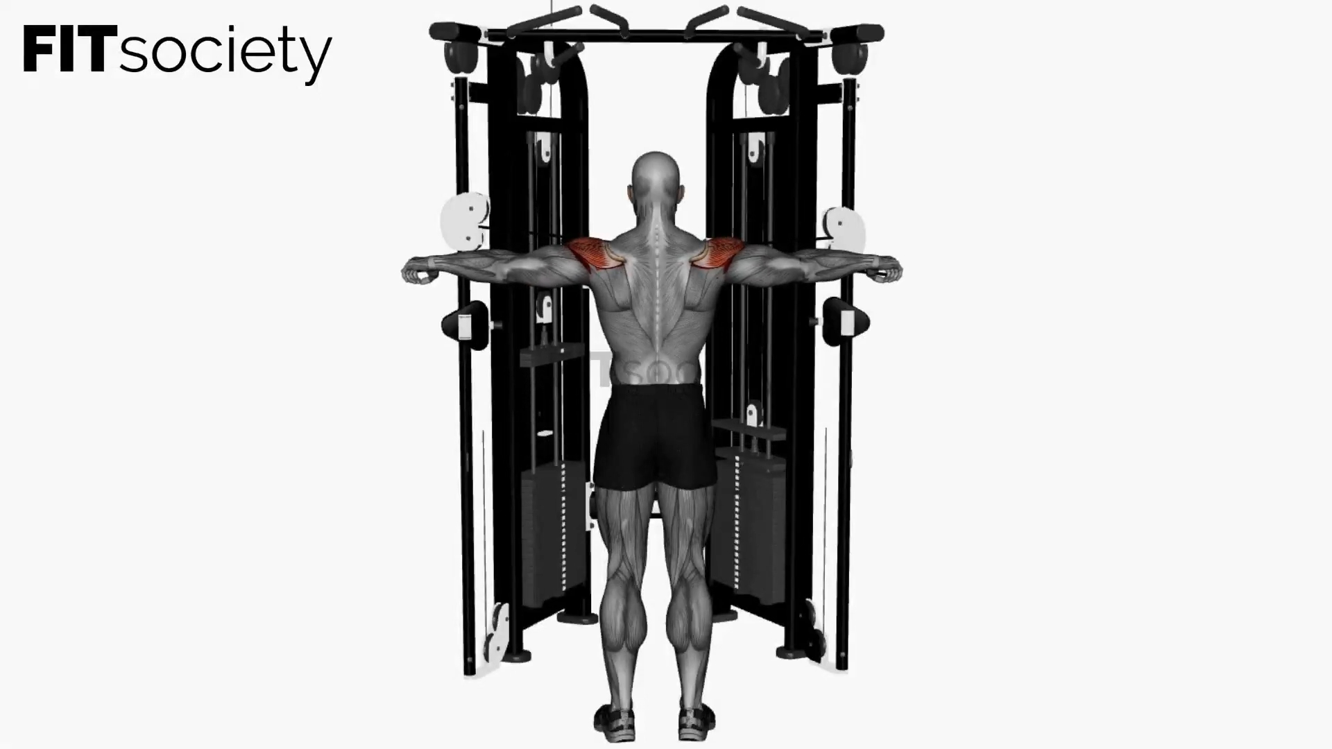 Cable Reverse Fly