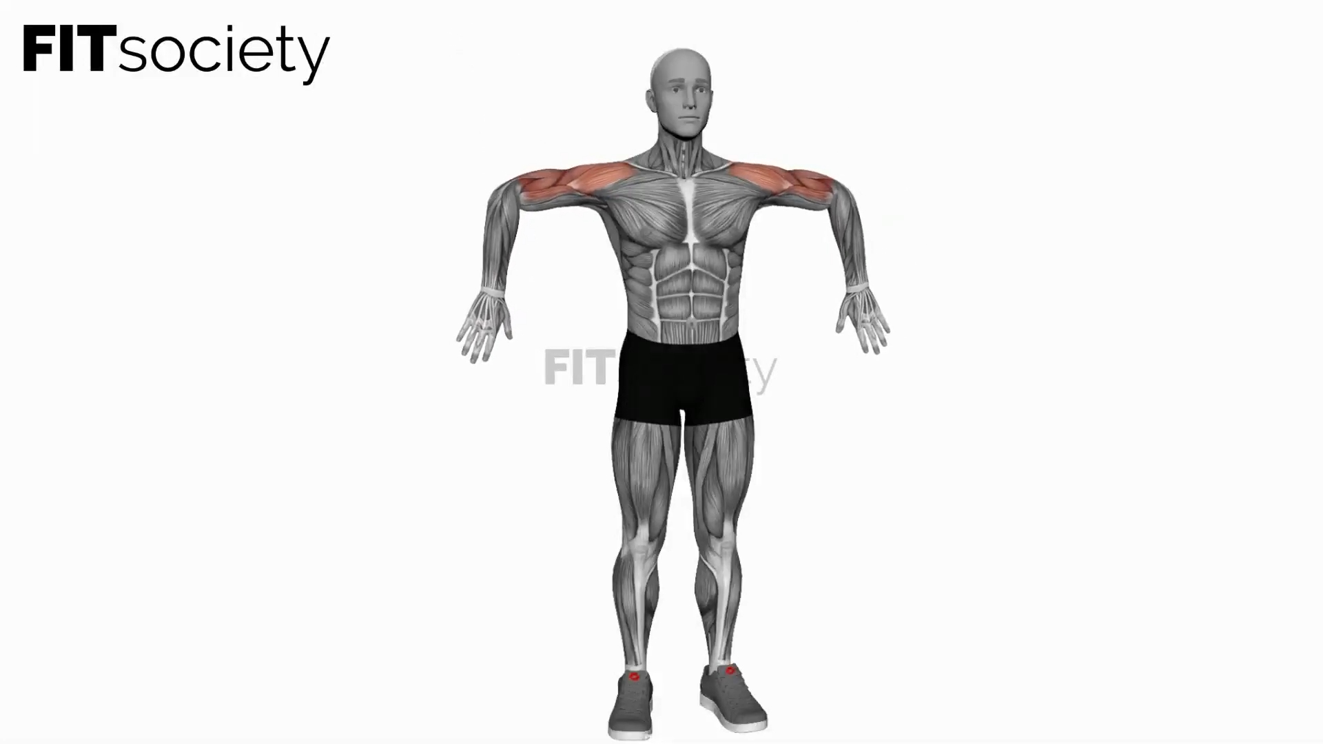 Upward Rotation Extend Arms