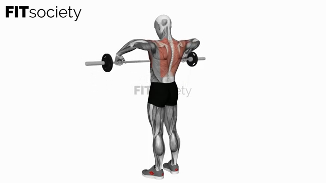 Barbell Wide-Grip Upright Row