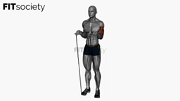Reverse Grip Resistance Band Simultaneous