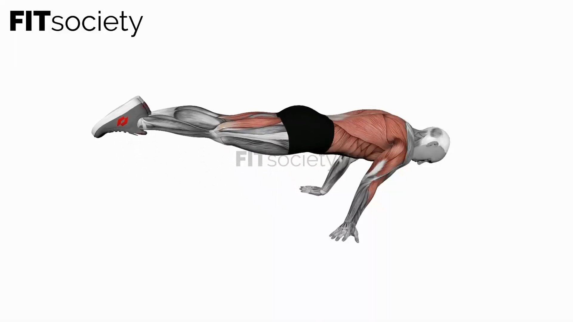 Full Planche Push-Up