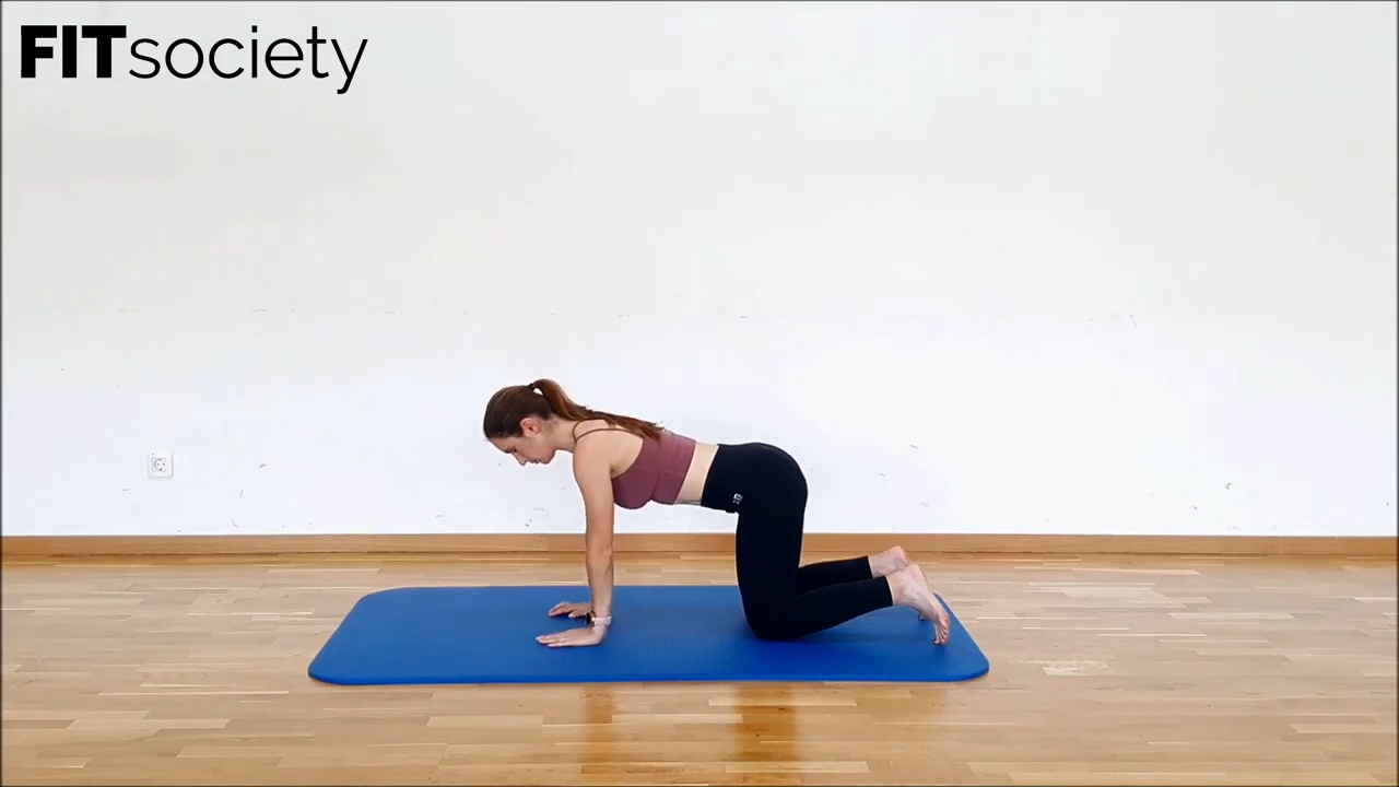 Quadruped Shoulder Rotation