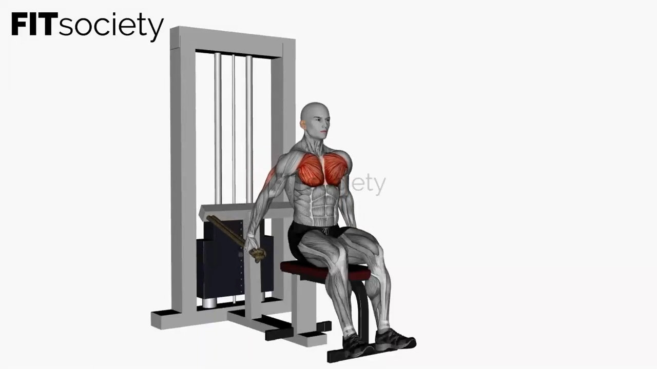 Machine à dips pour les pectoraux