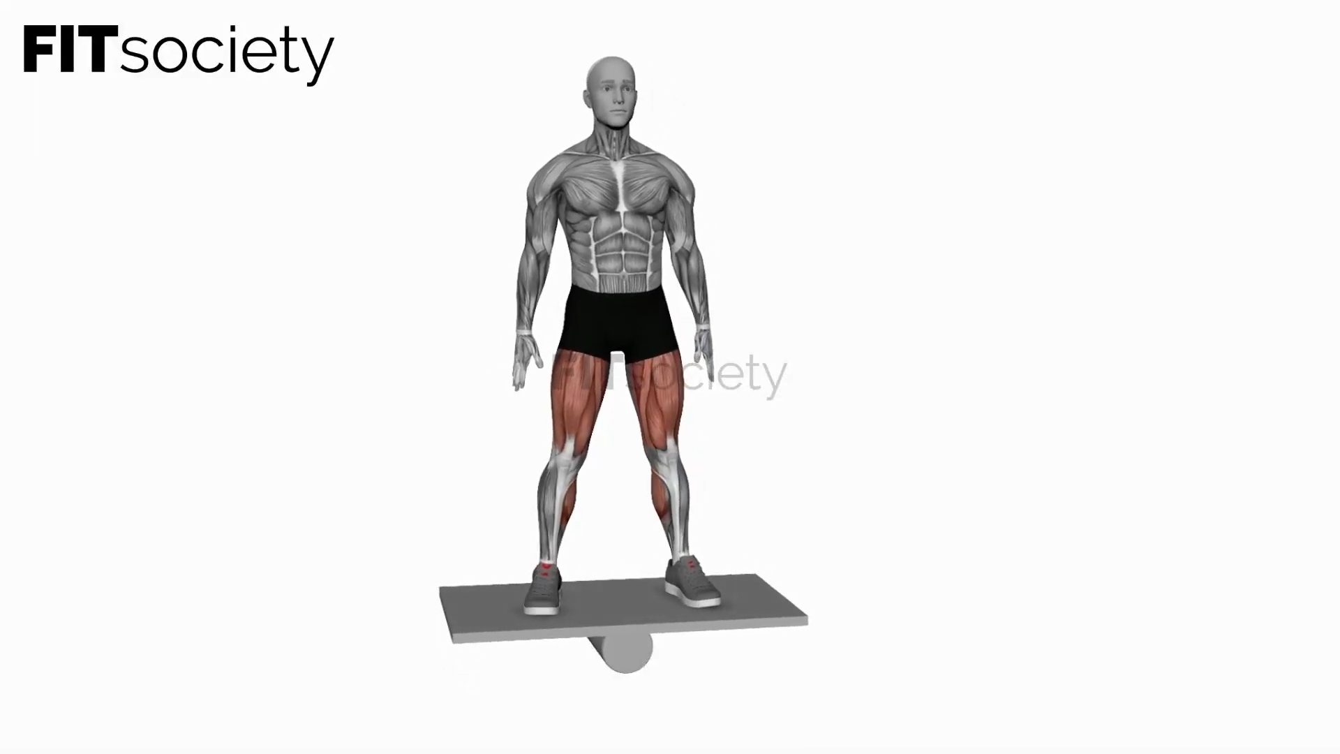 Balance Board Lateral Squat