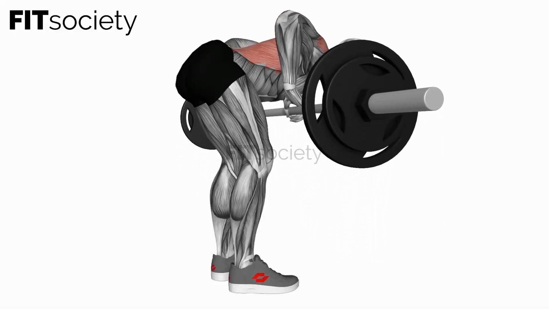 Bent Over Barbell Row