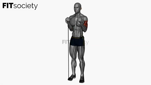 Zotman Curls Resistance Band Simultaneous