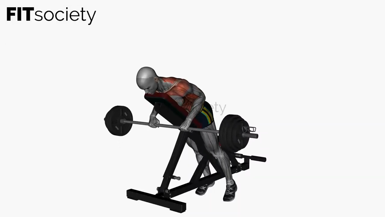 Prone Bench Row Barbell Supinated Grip