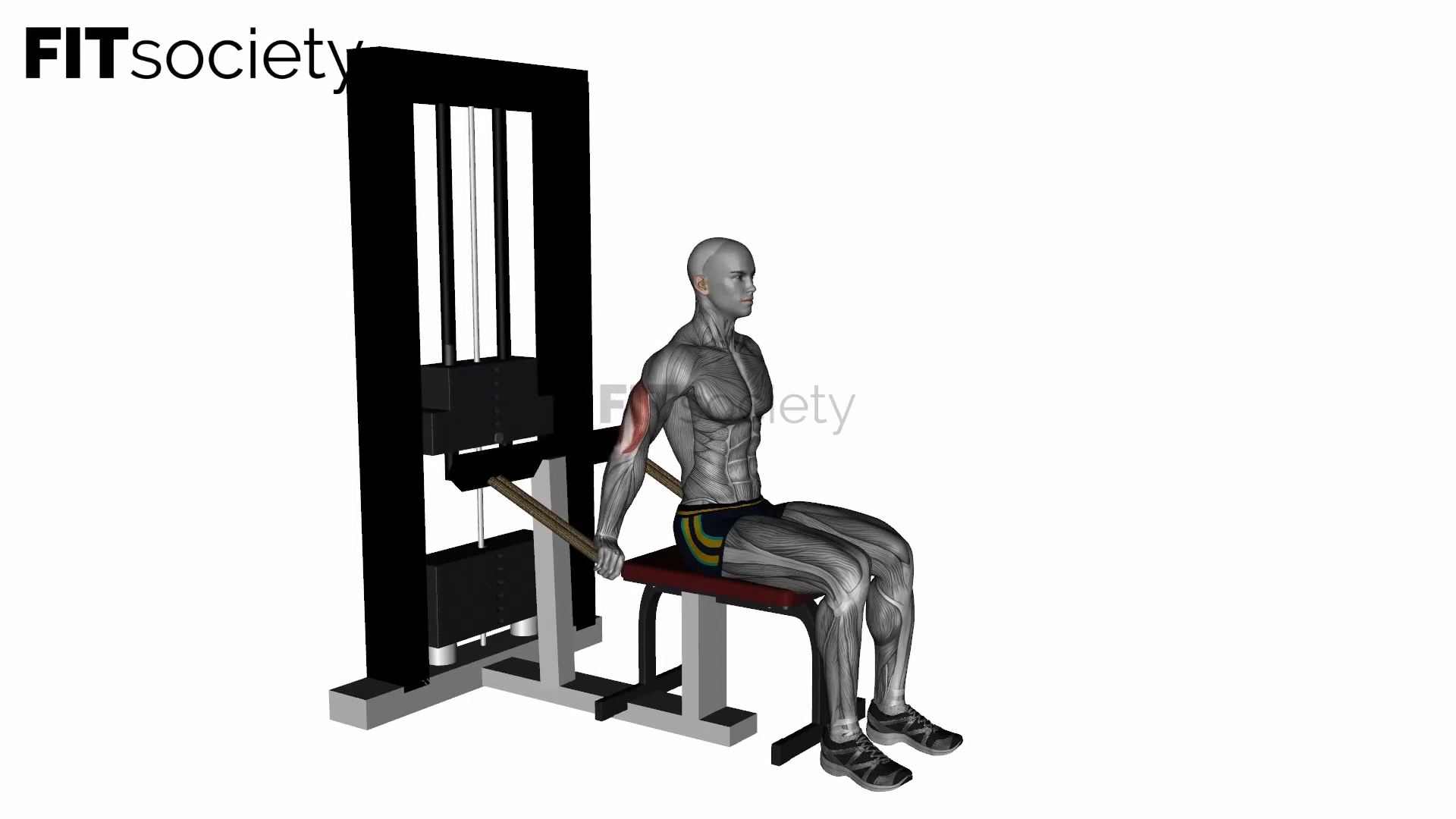 Machine à dips pour triceps