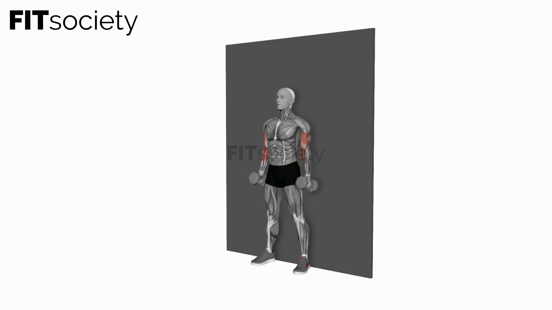 Dumbbell Hammer Strict Curl