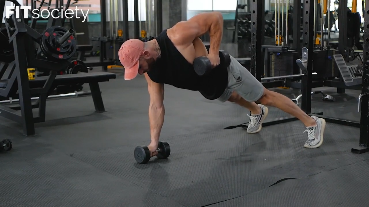 Dumbbell Renegade Row