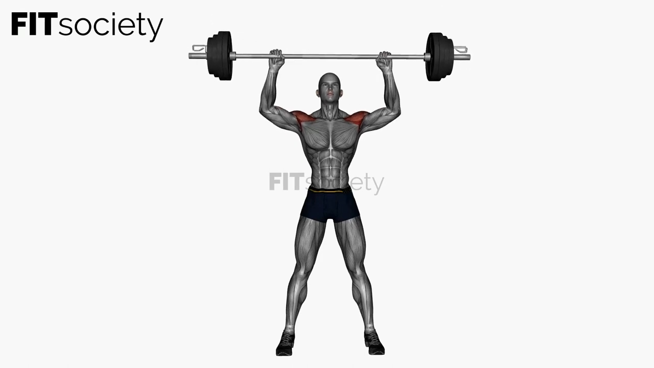 Standing Shoulder Press Barbell