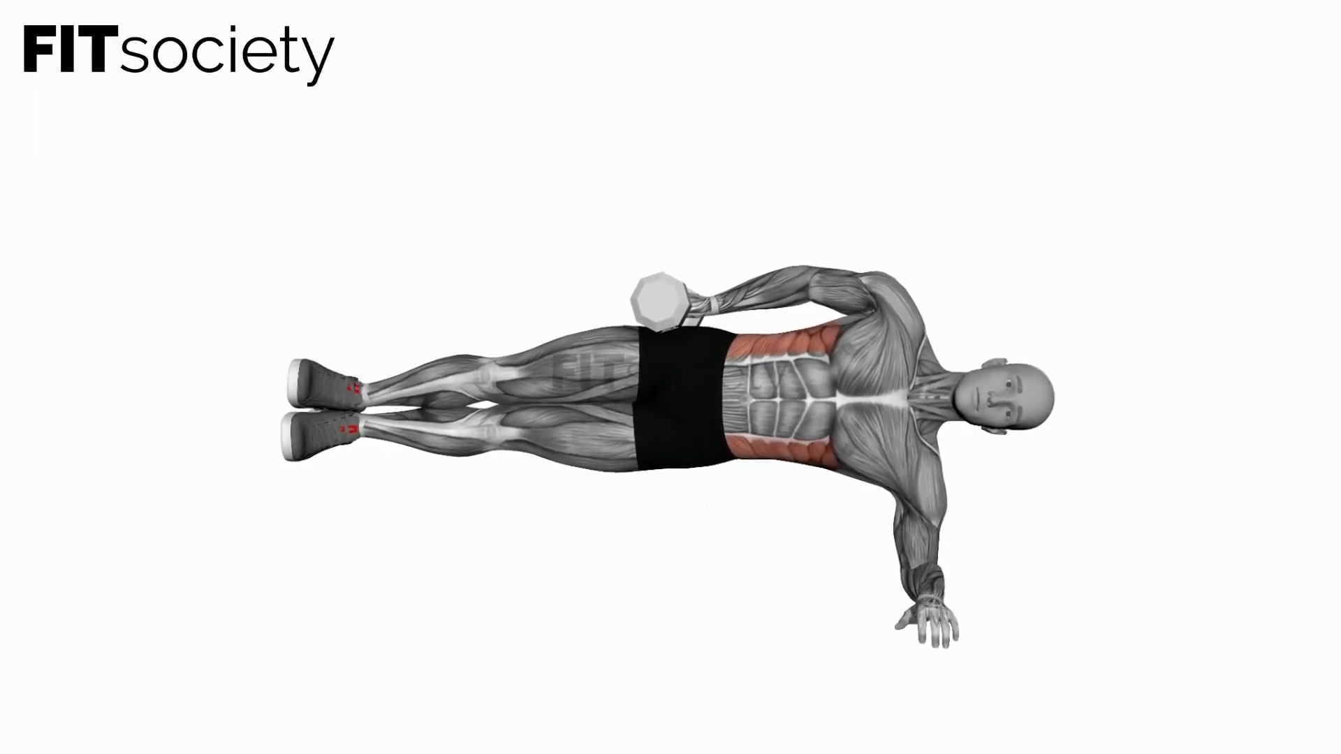 Seitliche Plank-Raises mit Kurzhantel