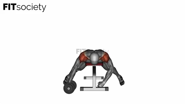 Lying Single Arm Reverse Dumbbell Fly