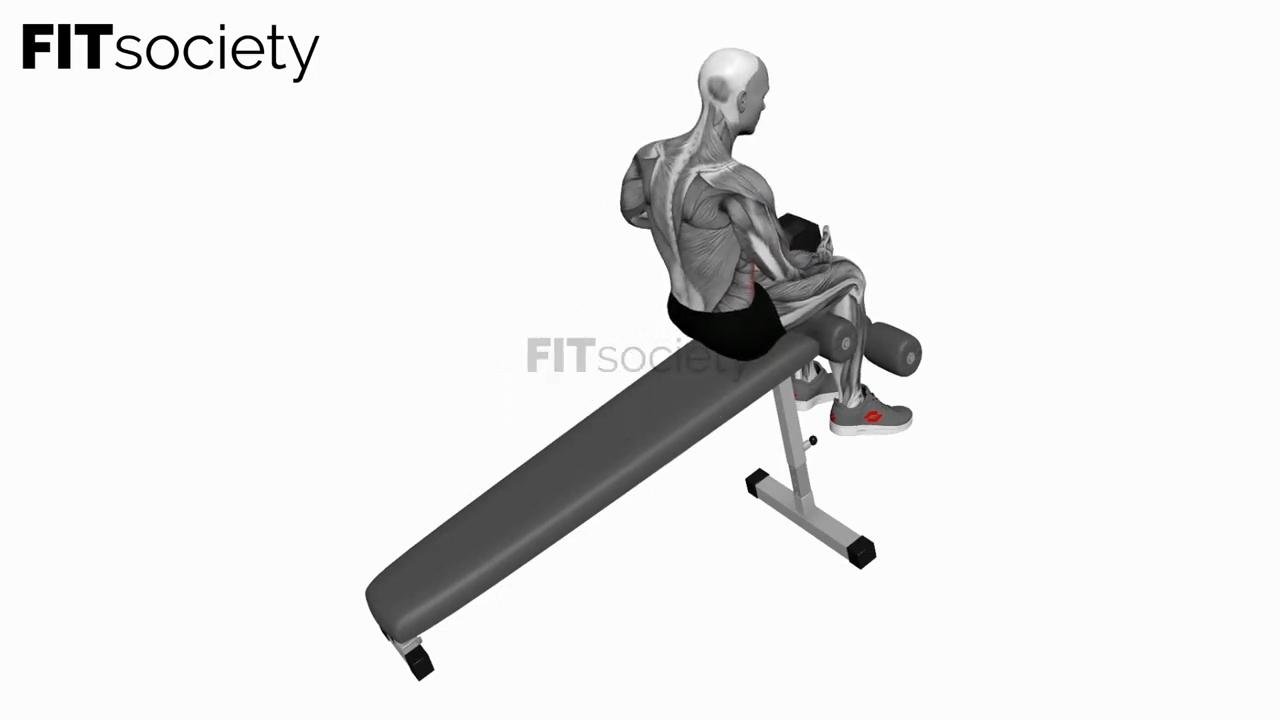 Dumbbell Decline Sit-Up