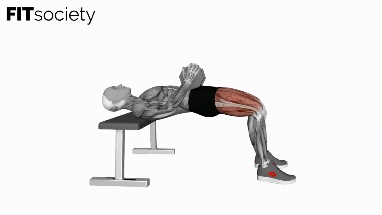 Dumbbell Hip Thrust (Version 2)