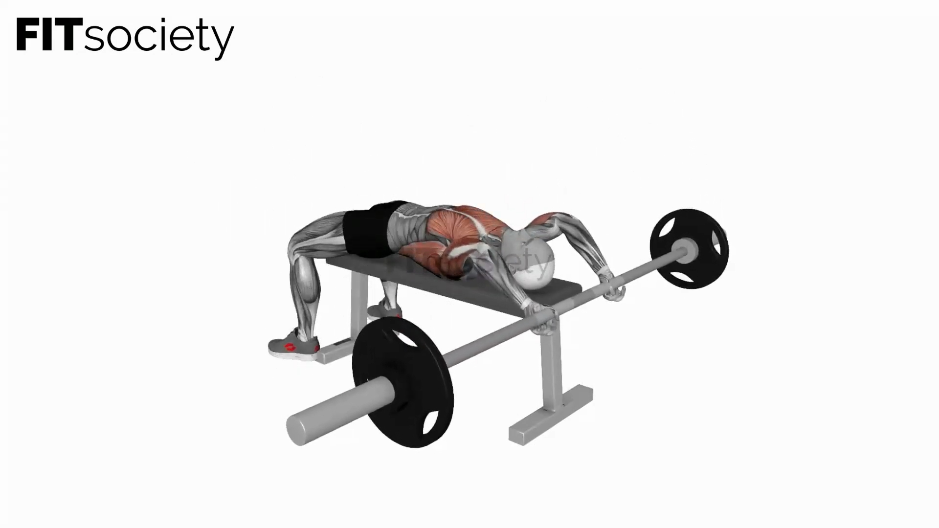 Barbell Pullover to Press