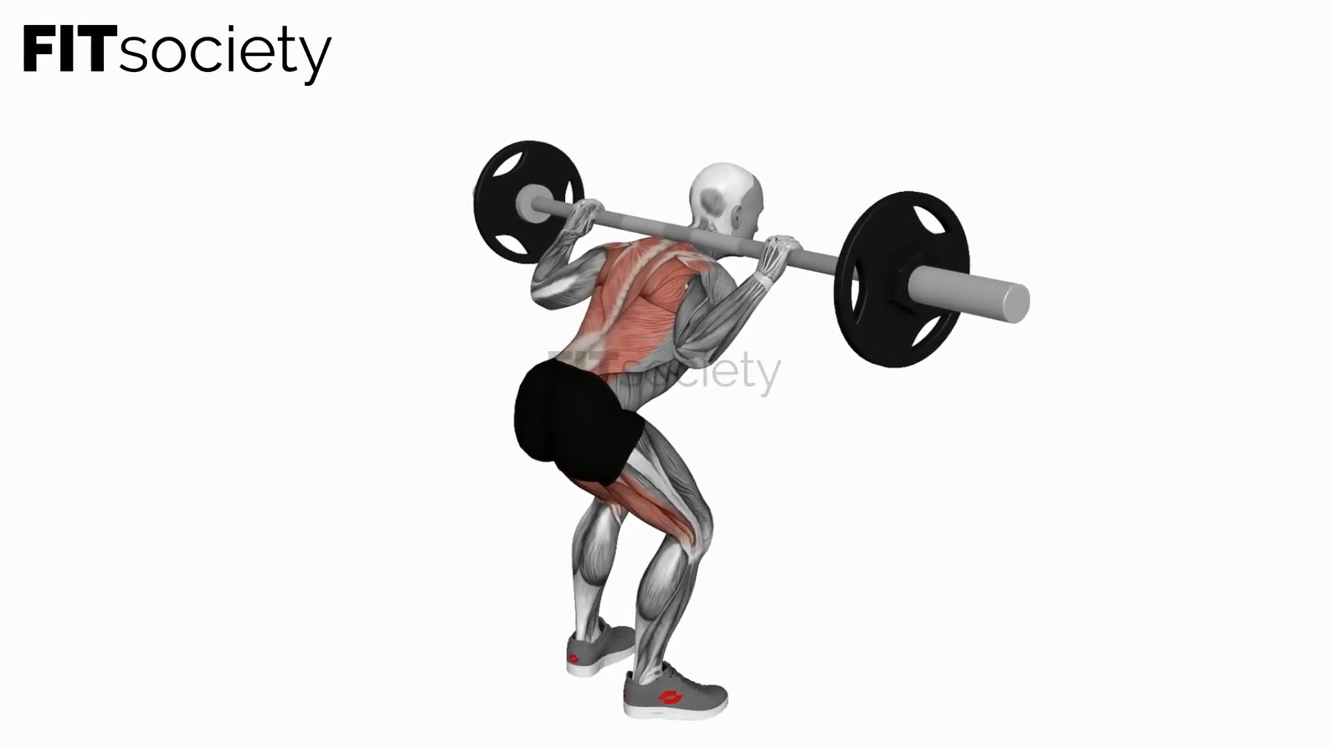 Barbell Good Morning