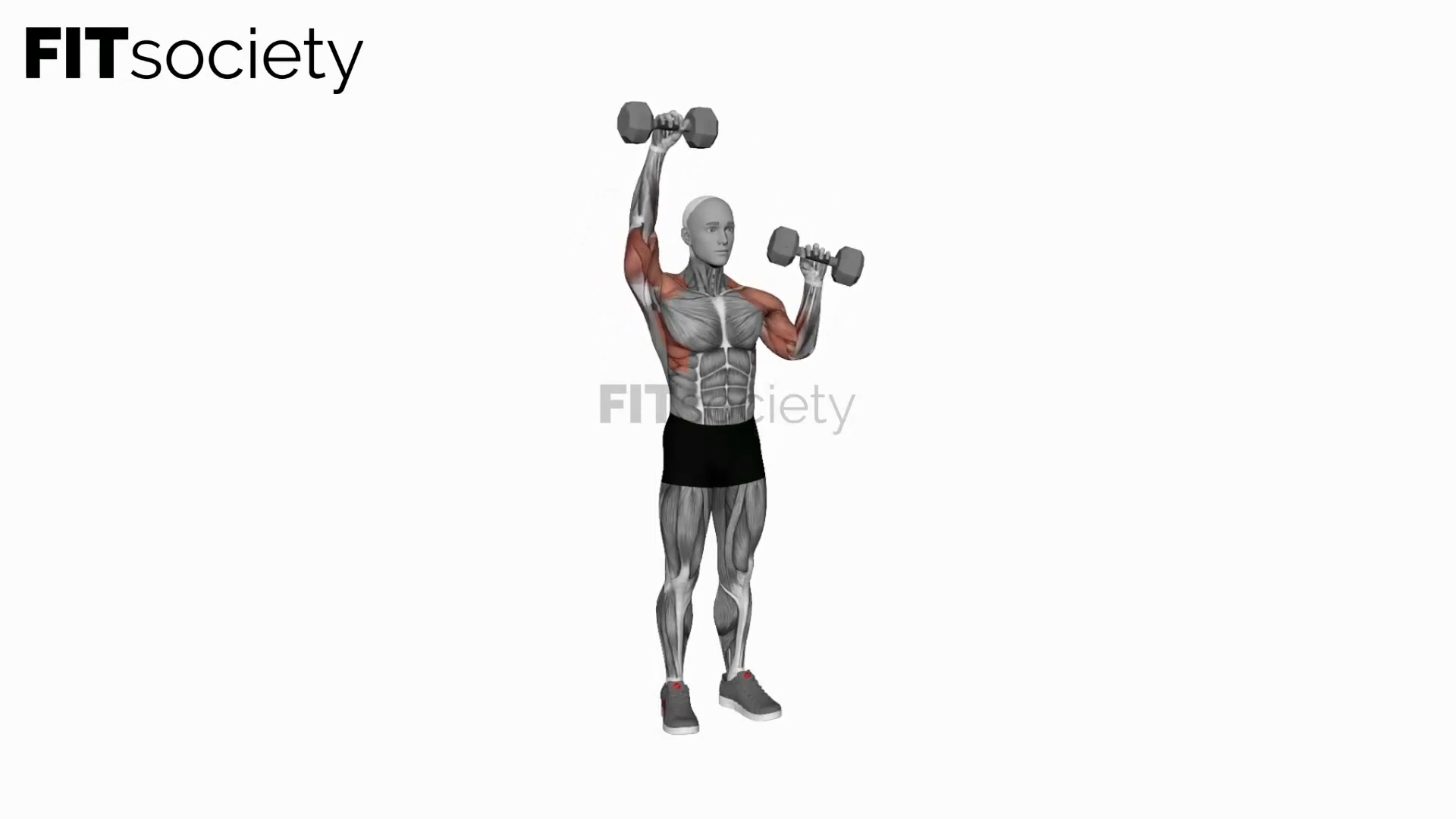 Dumbbell Alternate Shoulder Press