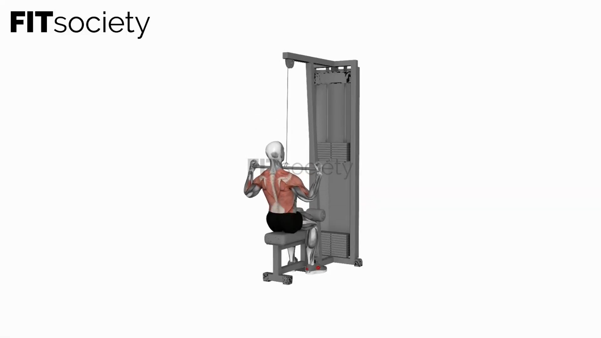 Cable Wide-Grip Pulldown